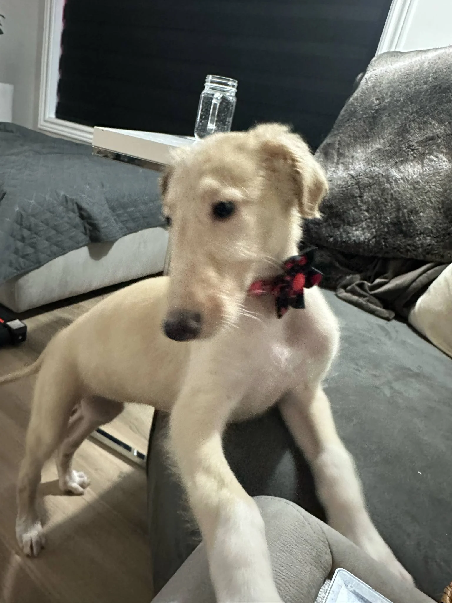 Mon arrivé dans ma nouvelle famille